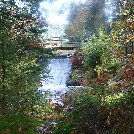 Domaine Des Hauts Viaux La Bresse Exteriér fotografie