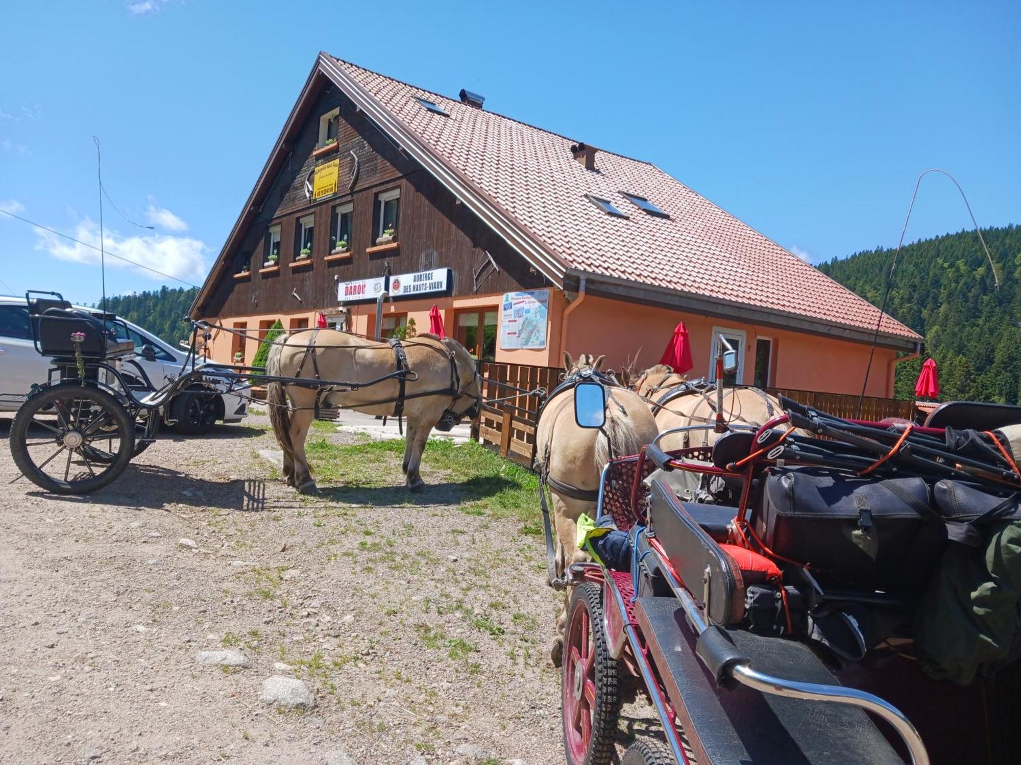 Domaine Des Hauts Viaux La Bresse Exteriér fotografie