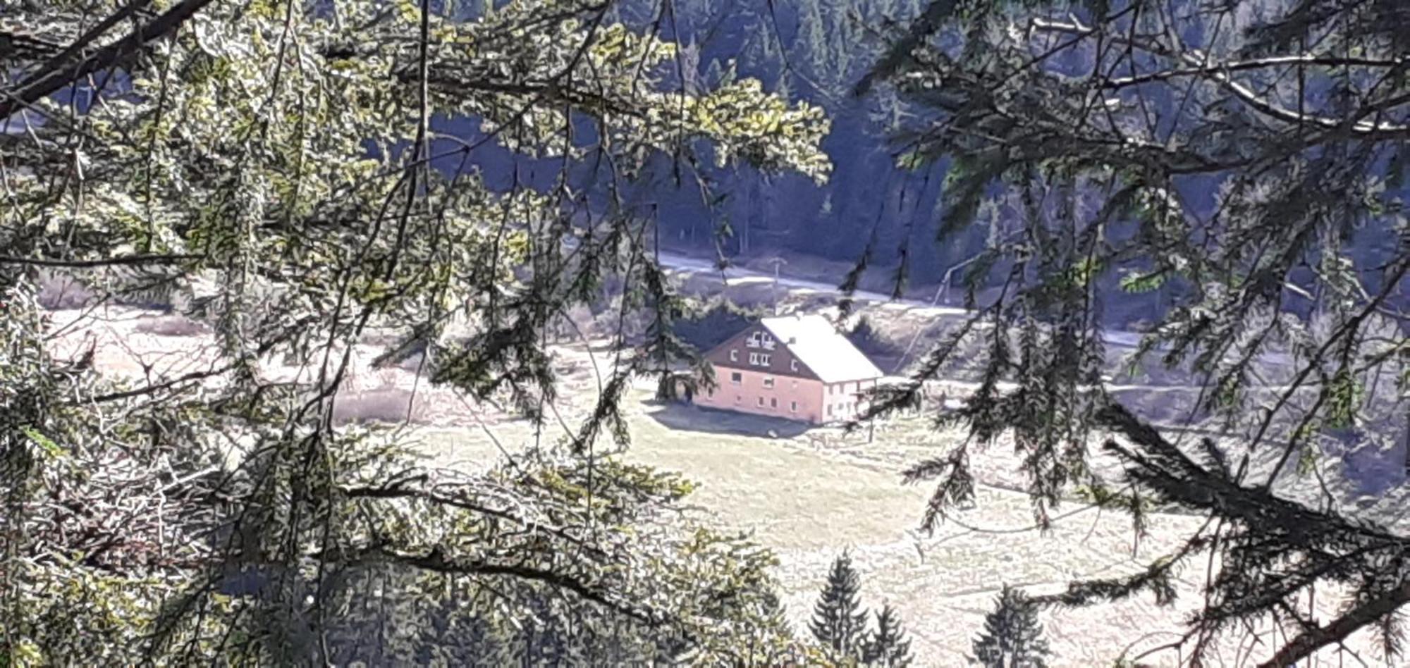 Domaine Des Hauts Viaux La Bresse Exteriér fotografie