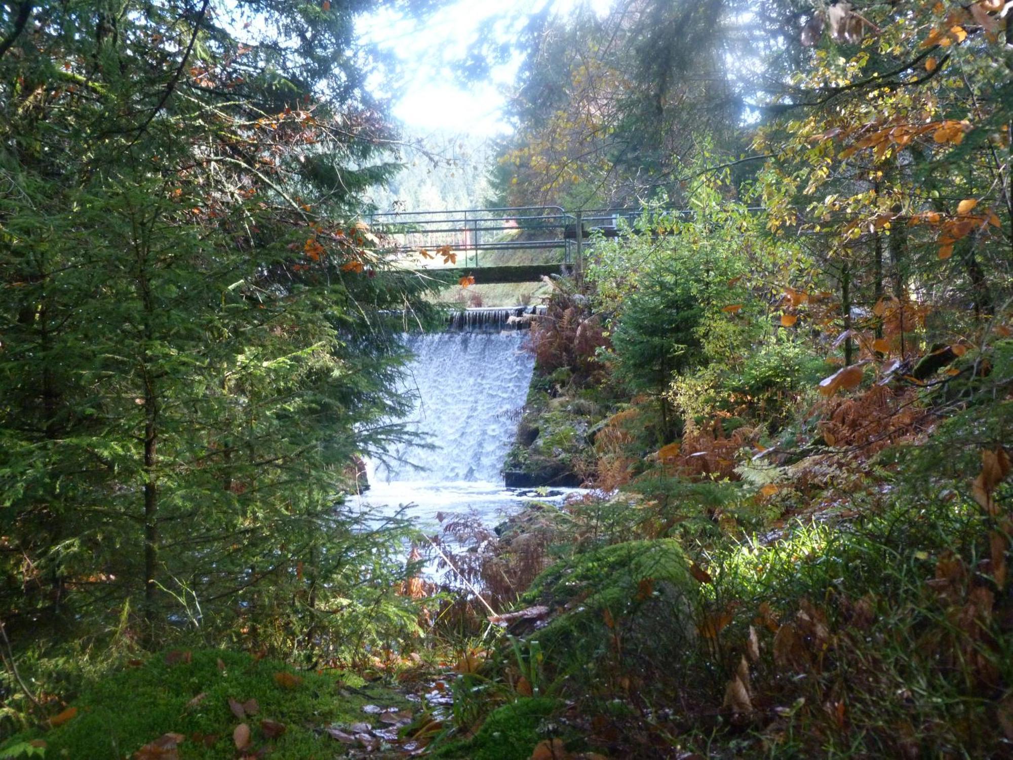 Domaine Des Hauts Viaux La Bresse Exteriér fotografie