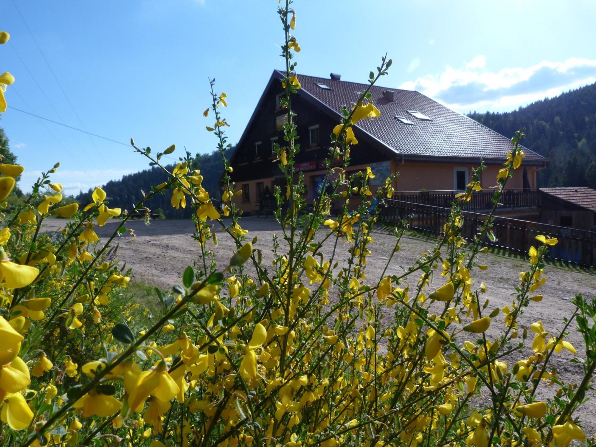 Domaine Des Hauts Viaux La Bresse Exteriér fotografie