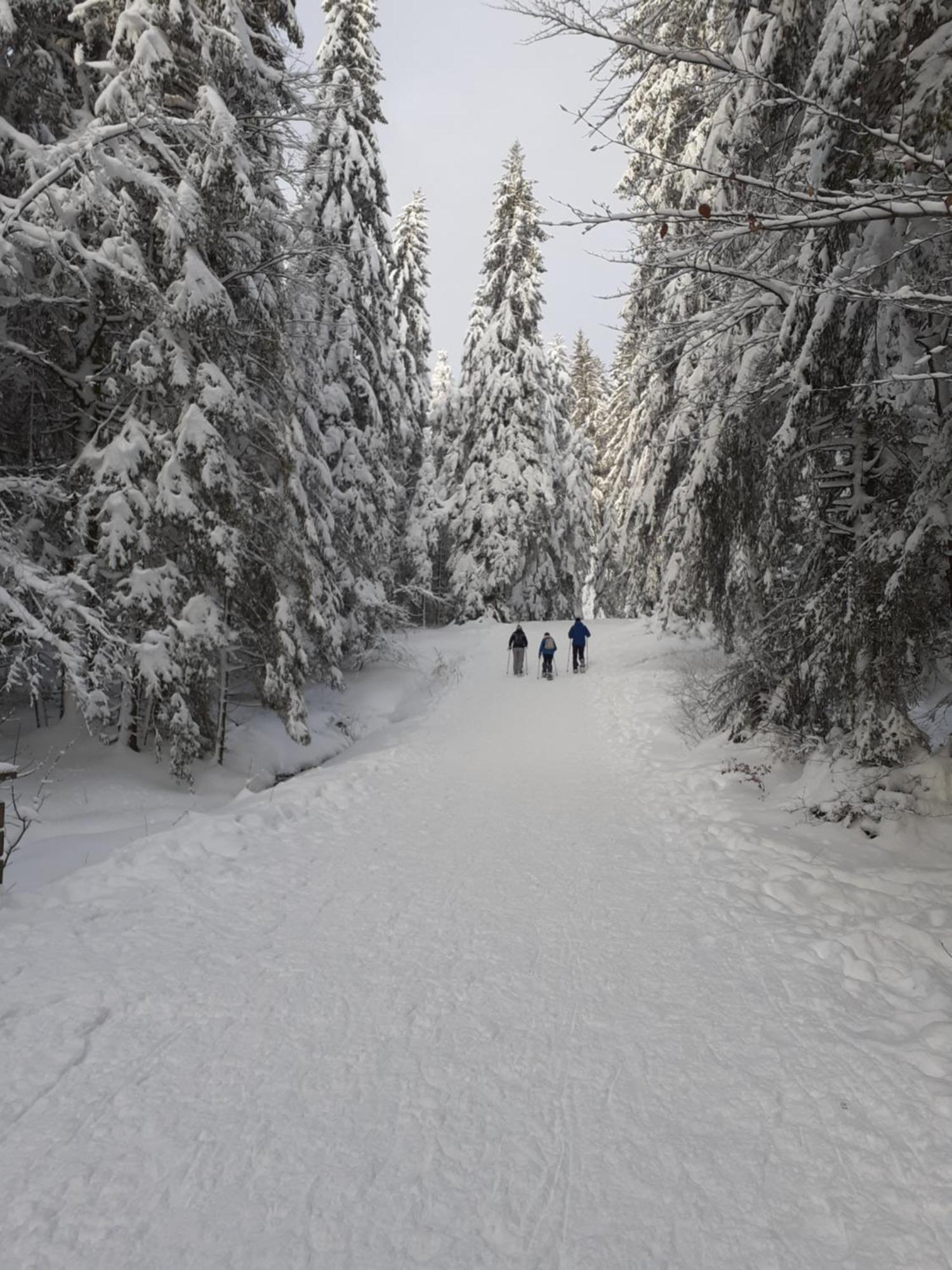 Domaine Des Hauts Viaux La Bresse Exteriér fotografie