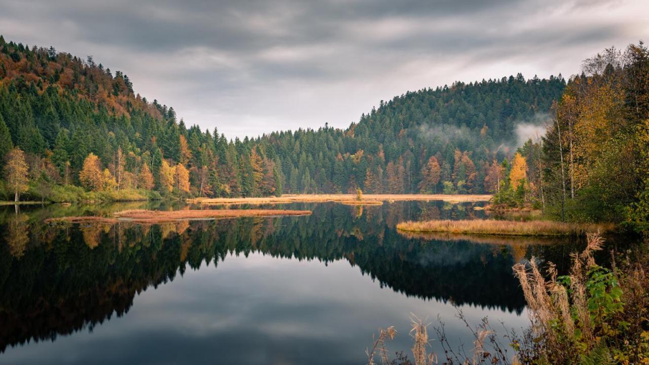 Domaine Des Hauts Viaux La Bresse Exteriér fotografie