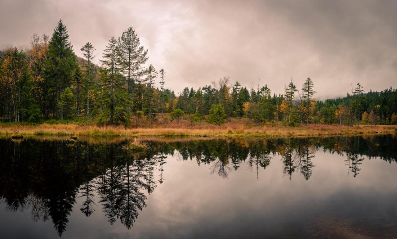 Domaine Des Hauts Viaux La Bresse Exteriér fotografie