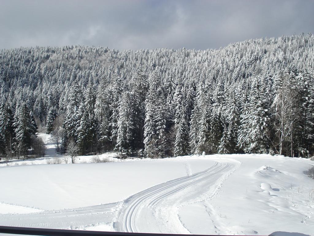 Domaine Des Hauts Viaux La Bresse Exteriér fotografie