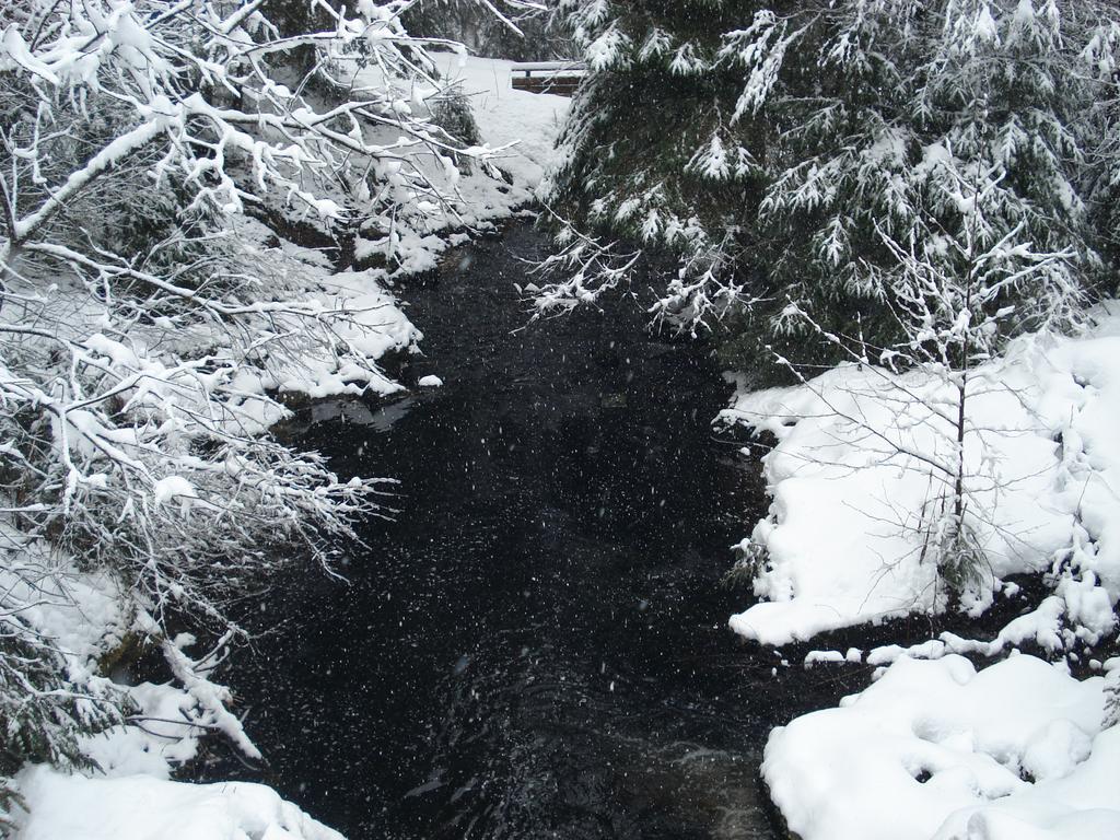 Domaine Des Hauts Viaux La Bresse Exteriér fotografie