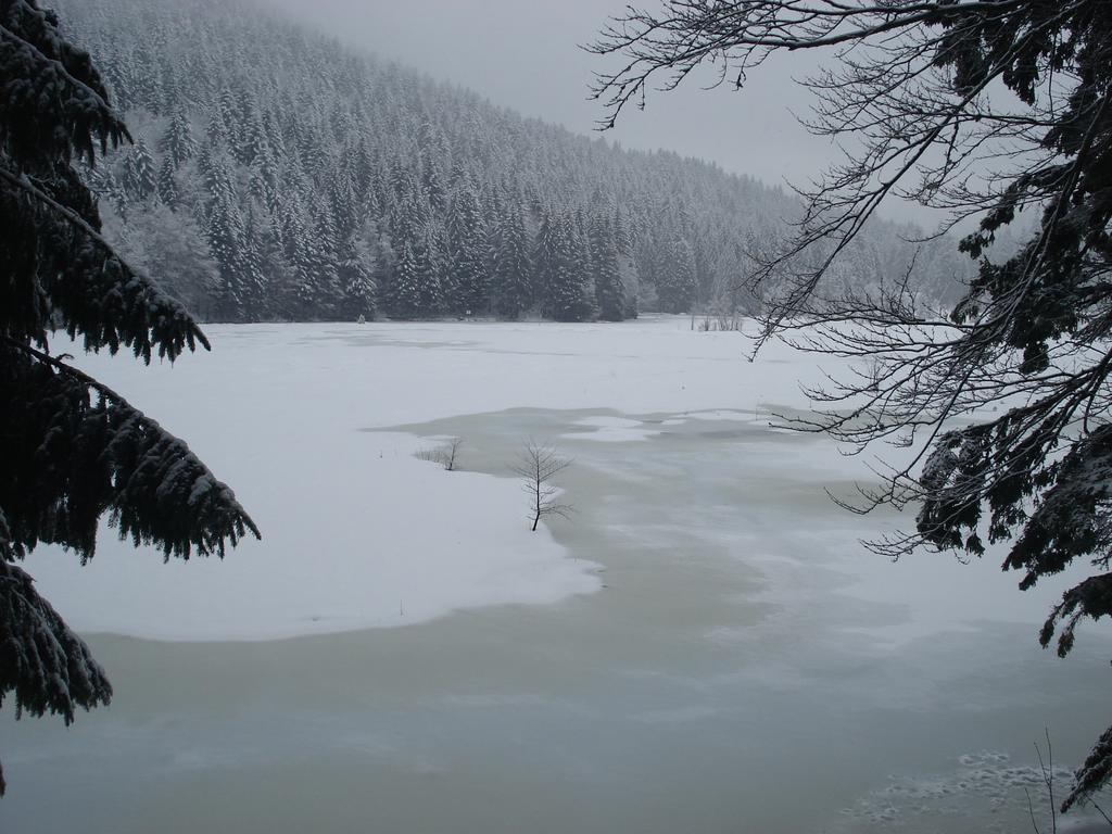 Domaine Des Hauts Viaux La Bresse Exteriér fotografie