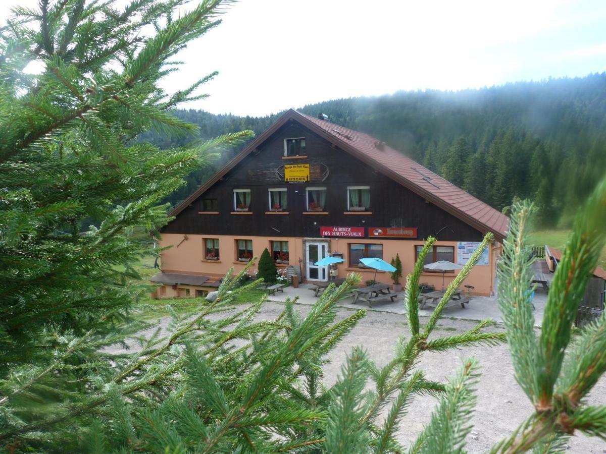 Domaine Des Hauts Viaux La Bresse Exteriér fotografie