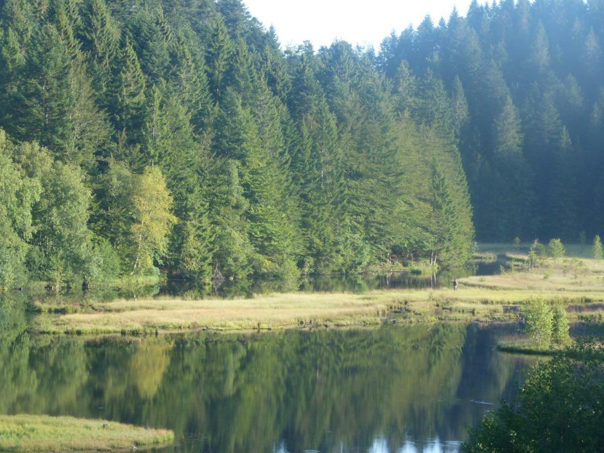 Domaine Des Hauts Viaux La Bresse Exteriér fotografie