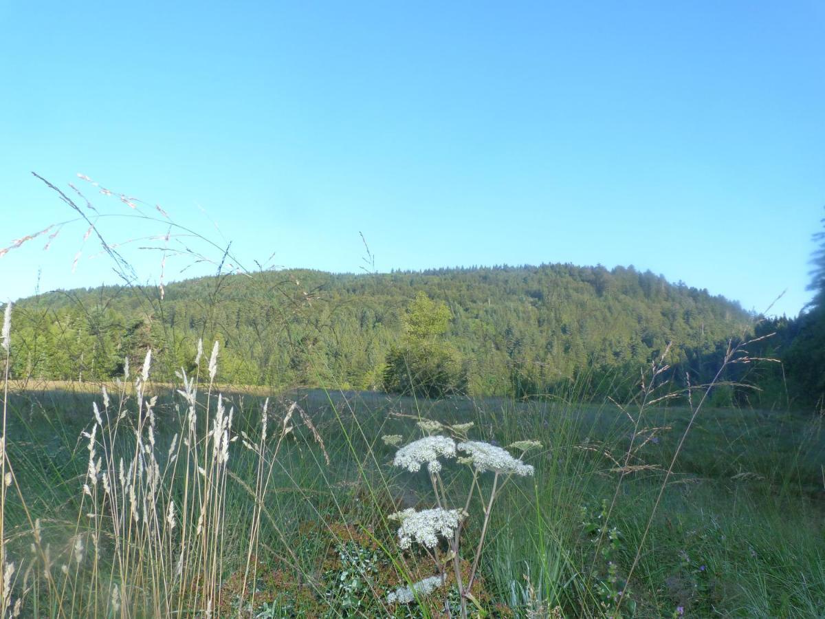 Domaine Des Hauts Viaux La Bresse Exteriér fotografie