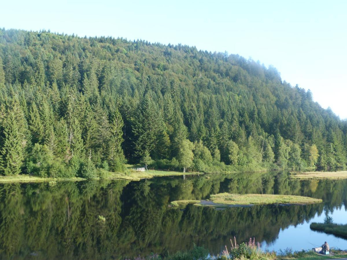Domaine Des Hauts Viaux La Bresse Exteriér fotografie