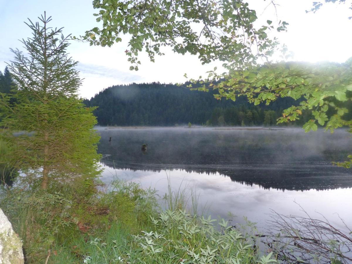 Domaine Des Hauts Viaux La Bresse Exteriér fotografie