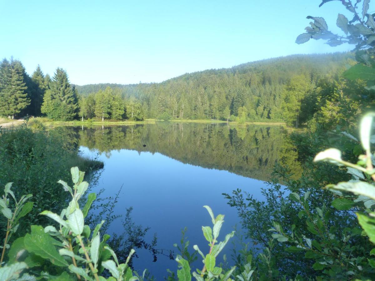 Domaine Des Hauts Viaux La Bresse Exteriér fotografie